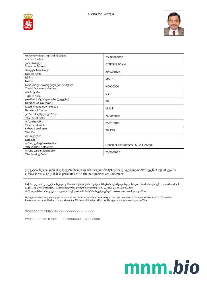 Szablon e-visa do Gruzji ze wszystkimi czcionkami